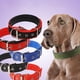 thumbnail image 3 of Collar táctico para perros, collar resistente de grado militar, collar grueso para perros, collar con cierre de metal pesado, 3 of 5