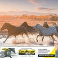 thumbnail image 2 of 6G(A) Horse Supplement, 2 of 8