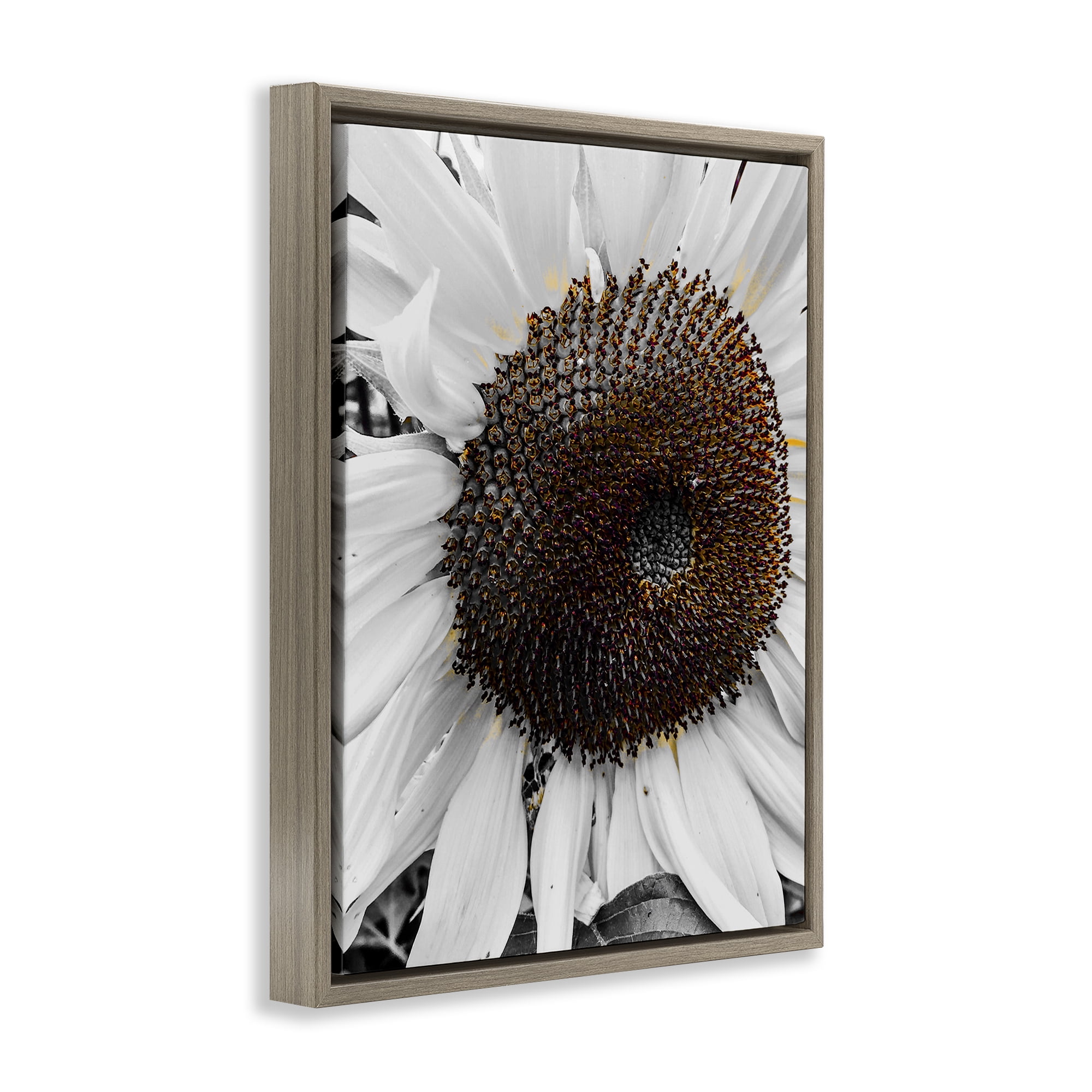 Stupell Industries Flower Pure White Petals Plants & Flowers Photography Brown Floater Framed Canvas Art Print Wall Art, 25 x 31