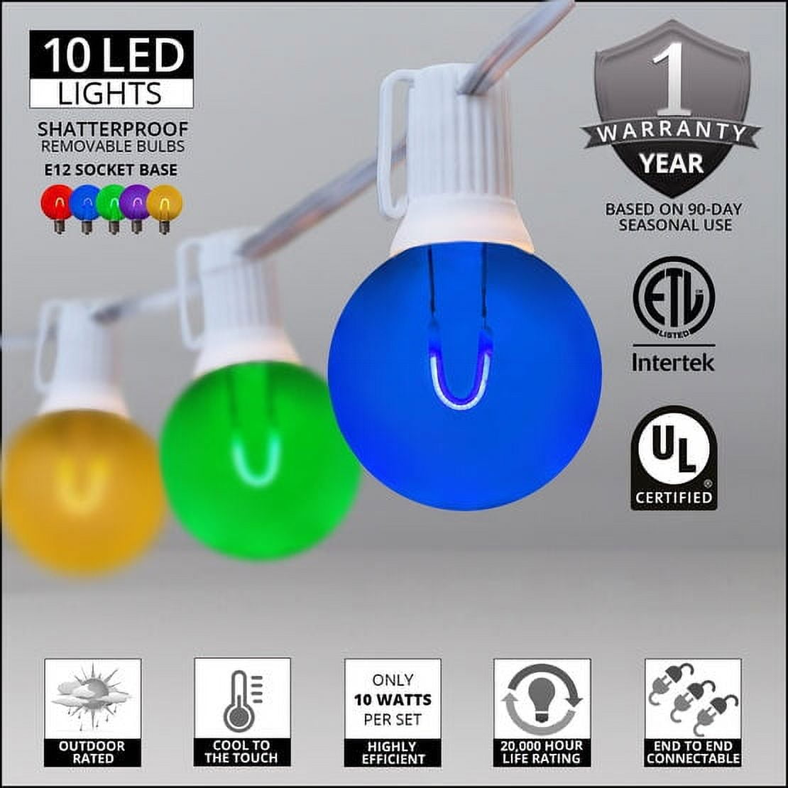 Wintergreen Lighting FlexFilament Edison Bulb Shatterproof G50 Multicolor Outdoor String Lights, 10 ft, 10 Lights