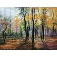 thumbnail image 2 of Cernov, Ivan 32x25 Gold Ornate Wood Framed with Double Matting Museum Art Print Titled - Park in Autumn, 2 of 4