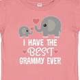 thumbnail image 4 of Inktastic Grandkids Best Grammy Ever Boys or Girls Baby T-Shirt, 4 of 5