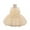Champagne, variant on Baby Girls Flower Dress Sleeveless Tulle Ball Gown Party Dress with Large Floral Embellishment