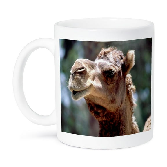 3dRose, Camel Face Cutie, 11oz Mug