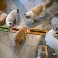 thumbnail image 5 of Pet Long Feeding Bowl Leakproof Cat Dog Food Feeder Pet Supplies For Multiple Kitten Puppy, 5 of 8