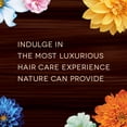thumbnail image 3 of Bain de Terre Argan Oil Sleek & Smooth Conditioner (Size : 33.8 oz), 3 of 7