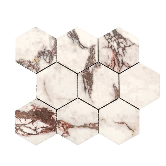 The Tile Life Cala Rosso 4" x 4" Hexagon Viola Polished Porcelain Tile Sample 1 Piece
