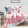 thumbnail image 3 of Custom Flamingo Blanket Gifts with Name - 40x30 Inches Cute Throw Blanket for Women & Girls - Pink Soft Plush Blankets for Lap & Chair, for Flamingo Lovers, 3 of 6