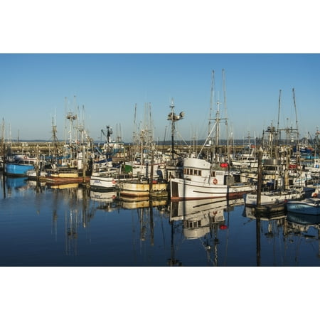 Fishing boats in a harbour Westport Washington United States of America Poster Print by Robert L Potts  Design (Best Fishing In Washington State)
