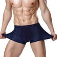 thumbnail image 1 of DPTALR Ice Silk Panties Briefs Breathable Nylon Mesh Boxers, 1 of 3