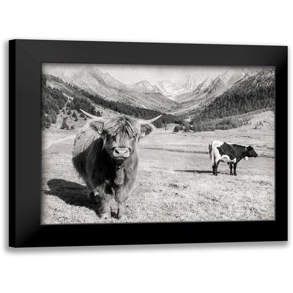 Delimont, Danita 14x12 Black Modern Framed Museum Art Print Titled - Highland Hills