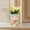 Dog, variant on koolsoo Girl Figurine Planter Pot Cute Plant Container for Balcony Housewarming Gift Swan