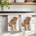 thumbnail image 7 of Funny Cats Kitchen Towels Set of 2, Cute Art Fun Lovely Animals on Toilets Absorbent Dish Towels for Kitchen, Microfiber Hand Towel, Quick Drying Tea Towel for Cleaning Decorative Dishcloths, 7 of 7