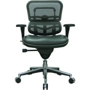 Raynor Eurotech Mesh/Leather Mid Back Ergo human Chair Black LEM6ERGLO-BLK(N