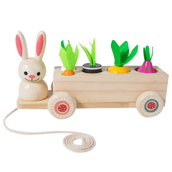 Multicolor Wooden Of Toy For Toddlers - 1 Year Old Baby Toy Carrots | Fruit Shape And Sizes Sorting Wooden Puzzle Blocks Game Educational Toys Games For Kids
