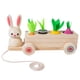 thumbnail image 1 of Fiudx Ofertas flash del día De Juguete De Madera Para Niños Pequeños - Zanahorias De Juguete Para Bebés De 1 Año Forma Y Tamaños De Frutas Juego De Bloques De Rompecabezas De Madera Juegos De Juguete, 1 of 4