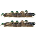 thumbnail image 2 of Avian X Topflight Early Season Mallard Duck Realistic Decoy, 12 Pack, 2 of 2