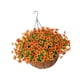 thumbnail image 5 of Cesta colgante de flores artificiales, adorno para maceta colgante con revestimiento de coco Naranja, 5 of 9