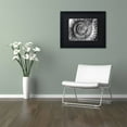 thumbnail image 3 of Trademark Fine Art "Amonita 2" Canvas Art by Moises Levy Black Matte, Black Frame, 3 of 4