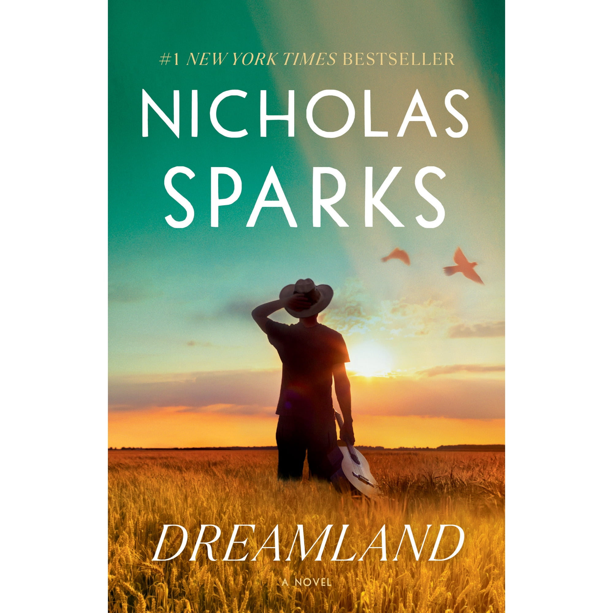 Dreamland: A Novel (Paperback)