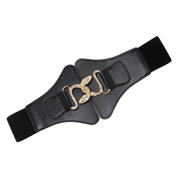 lanema Multiuse Waist Cincher Corset Belt PU Snake Buckles Belt For Female Dress