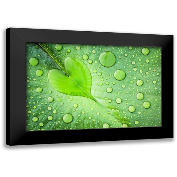 Foto, Patrick 14x11 Black Modern Framed Museum Art Print Titled - Heart