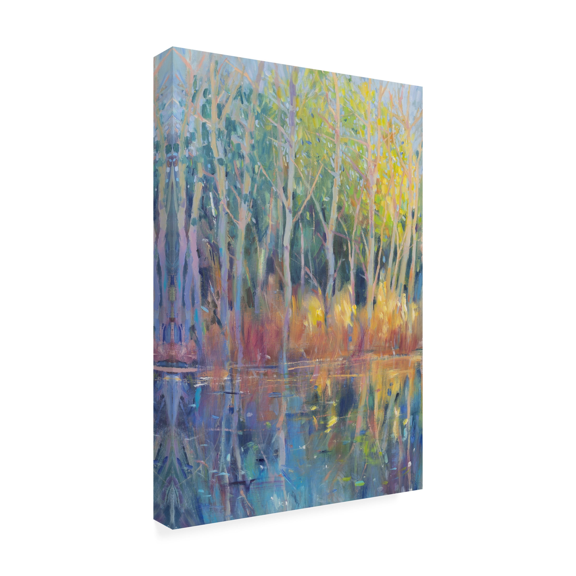 Tim OToole 'Reflected Trees II' Canvas Art