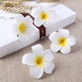 thumbnail image 1 of IFANLANDOR 10Ud Pasador De Flor Estilo Hawaiano Para Ideal Para Playa Y Reuniones, 1 of 7