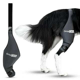 Ortocanis Walmart Canada