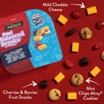 thumbnail image 4 of Sargento® Fun! Balanced Breaks Mild Cheddar Cheese, Fruit Snacks & CHIPS AHOY!®, 4 of 8
