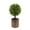 D, variant on Artificial Topiary Potted Boxwood Plant, Ongmies 1Pc Small Fake Topiary Ball Tree Greenery Arrangements, Faux Grass Plant Model Vivid Bonsai Ornament Home Cabinet Shelf