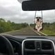 thumbnail image 5 of Adorno de retrovisor de coche de perrito de resina - Colgante de perro carlino con cabeza móvil para decorar el coche, 3,15 pulgadas, 5 of 5
