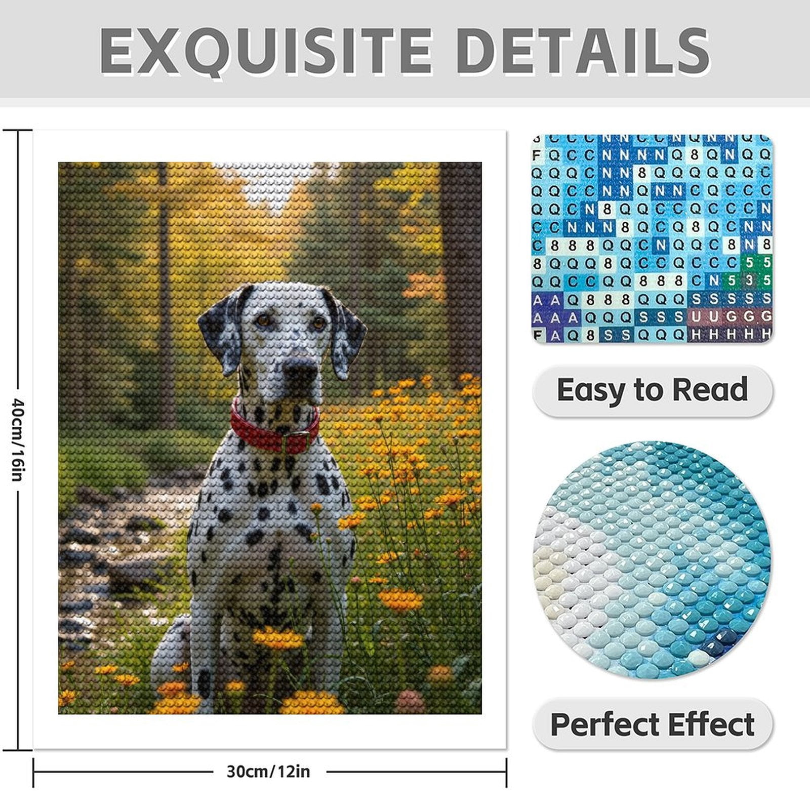 Diamond Art Kit for Adults, Dalmatian Flower Stream Scene Diamond Painting for Adults Beginners, 5D DIY Diamond Art Painting Kits, Colorful Diamond Painting Craft for Home Decor 12x16