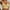 ^Beige, variant on Rigardu Clearance Sale!! Sports Bras for Women High Support Women Sports Bra Wireless Sport Bras for Yoga Workout Fitness Brief Up Crop Tops Beige One Size
