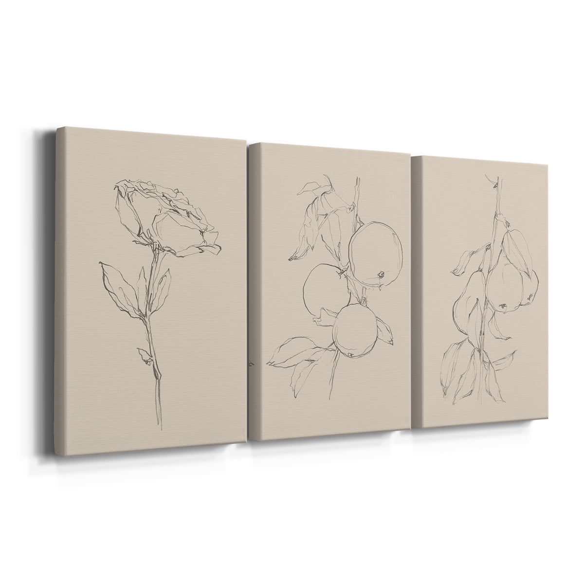 Floral Contour Study IV Premium Gallery Wrapped Canvas - Ready to Hang - 12 x 18 Each