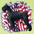thumbnail image 3 of CafePress - Giantschnauzerpatriot Infant T Shirt - Infant T-Shirt, 3 of 4