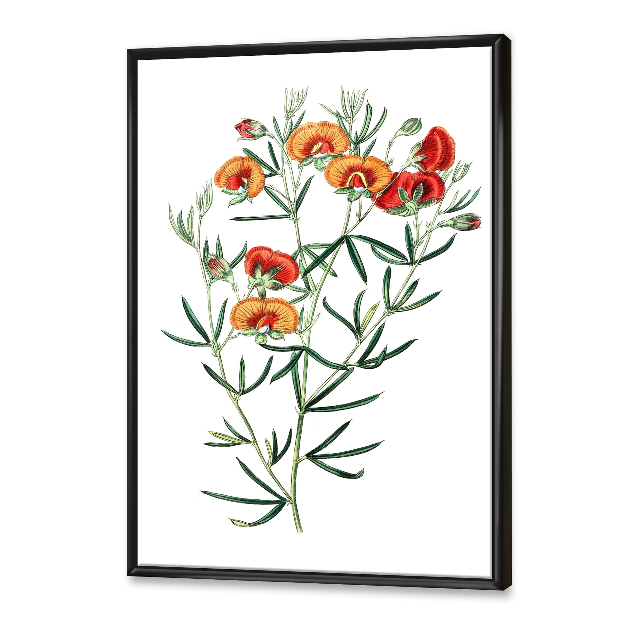 Designart 'Ancient American Flora VIII' Traditional Framed Canvas Wall Art Print
