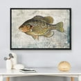 thumbnail image 3 of wall26 Framed Canvas Print Wall Art Redear Sunfish on Granite Background Marine Life Animals Digital Art Realism Nautical Scenic Colorful Ultra for Living Room, Bedroom, Office - 16"x24" Bl, 3 of 5