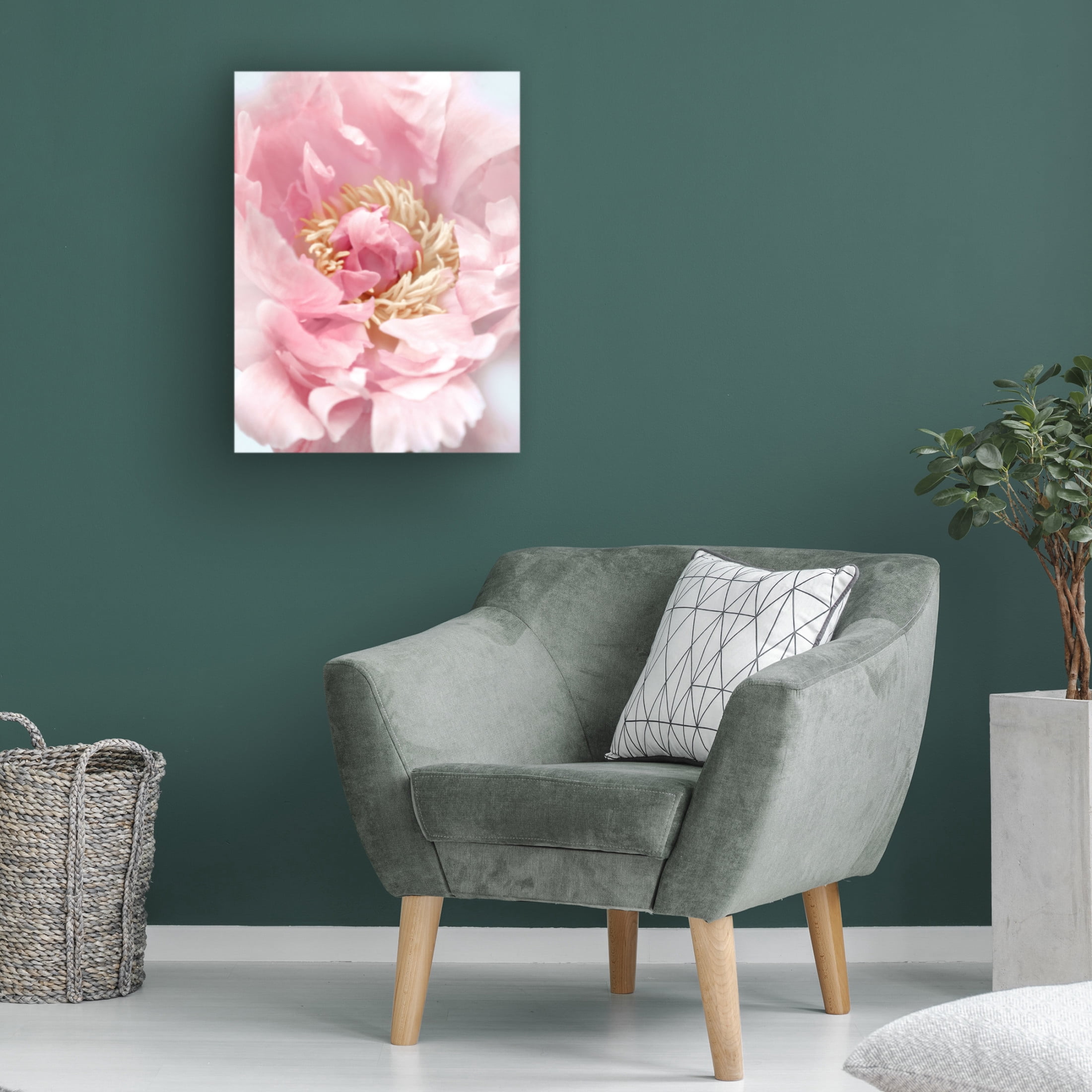 Trademark Fine Art Rosana Laiz Blursbyai Blush peony I Canvas Wall Art