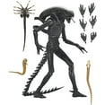thumbnail image 1 of Alien Romulus 7 Inch Action Figure Ultimate - Xenomorph XX121, 1 of 2
