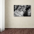 thumbnail image 3 of Trademark Fine Art "Triton" Canvas Art by Yale Gurney, 3 of 3