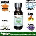 thumbnail image 6 of Lavender Essential Oil Sample Pack 3 Essential Oils - Lavender, French Lavender, Bulgarian Lavender - .5 oz net wt per container - safety sealed amber glass bottle with resealable phenolic cone cap, 6 of 9