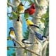 thumbnail image 1 of Cuadros Decorativos Pájaro 5D DIY Diamond Painting Kits Full Square Drill Mosaico Animal (30x40CM) DQrwqpou Nuevos Originales, 1 of 8