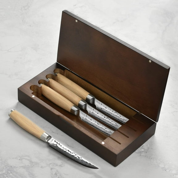 Enso Hizashi 4 Piece Steak Knife Set with Case