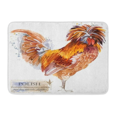 GODPOK Animal Agricultural Polish Rooster Poultry Farming Chicken Breeds Series Domestic Farm Bird Agriculture Rug Doormat Bath Mat 23.6x15.7