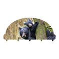 thumbnail image 1 of Next Innovations 101412001-BLACKBEARS 8 x 4 in. Black Bears Key Rack Organizer, 1 of 1