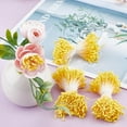 thumbnail image 4 of 1600PCS Yellow Double Heads Handmade Flower Stamen Flower Stamens Pistil Artificial Pearlized Floral Pollens Stamen for Flower Making Scrapbook Decoration Handicrafts, 4 of 9