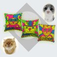 thumbnail image 2 of Cataire Toy Carré Modèle Interactif Créatif Mignon Pet Oreiller Chat Mâcher Toy, 2 of 10