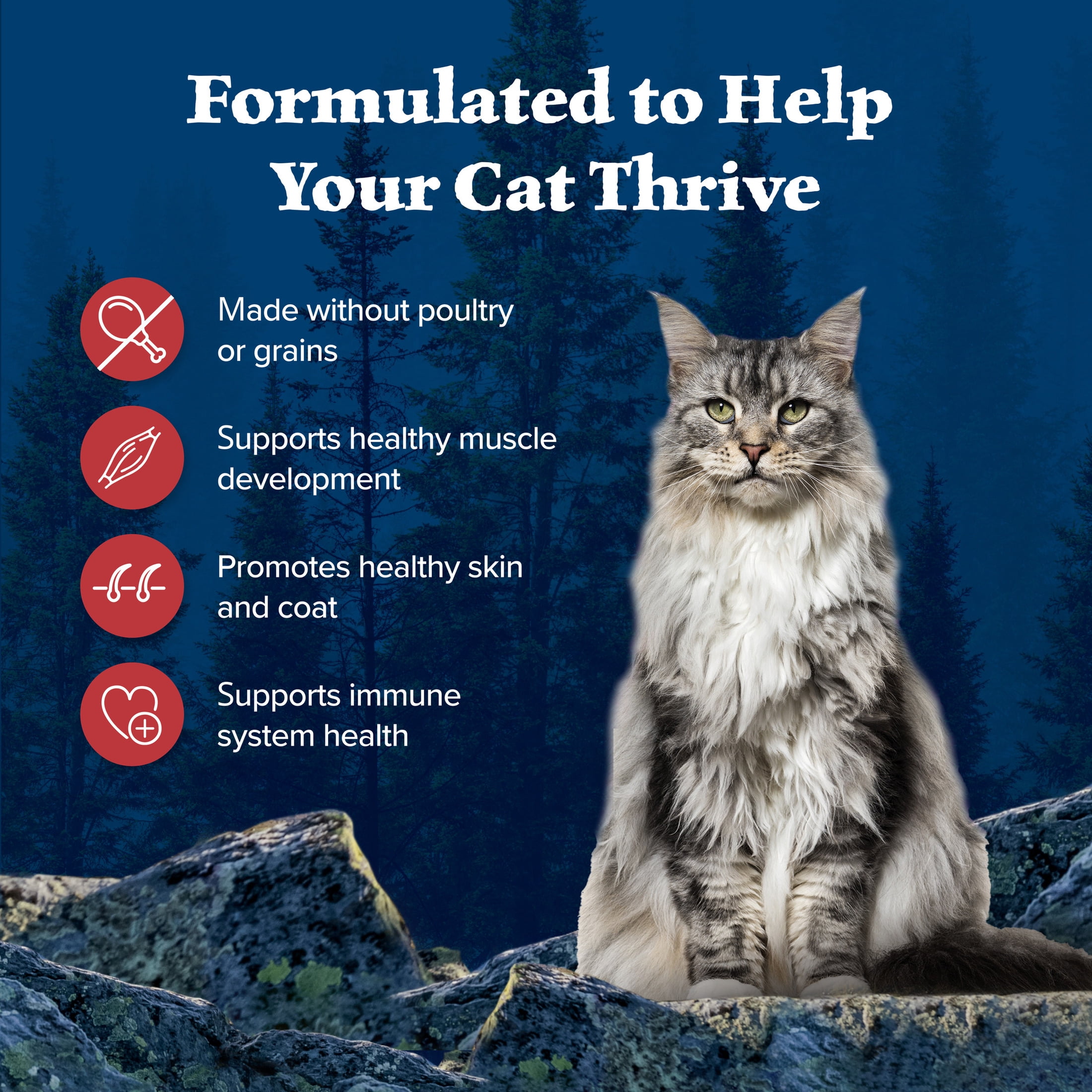 Blue Buffalo Wilderness Natural Dry Cat Food, Rocky Mountain Recipe, Red Meat, 4-lb. Bag