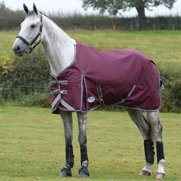 Weatherbeeta Comfitec Plus Dynamic II Standard Neck Turnout Blanket (220g Medium), Maroon (Grey/White Trim), Size: 60